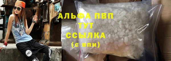 стафф Алексин