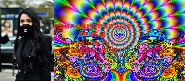 PSILOCYBIN Абдулино