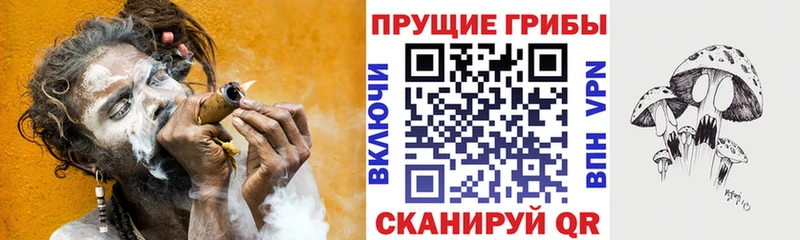 закладка Шали Галлюциногенные грибы GOLDEN TEACHER