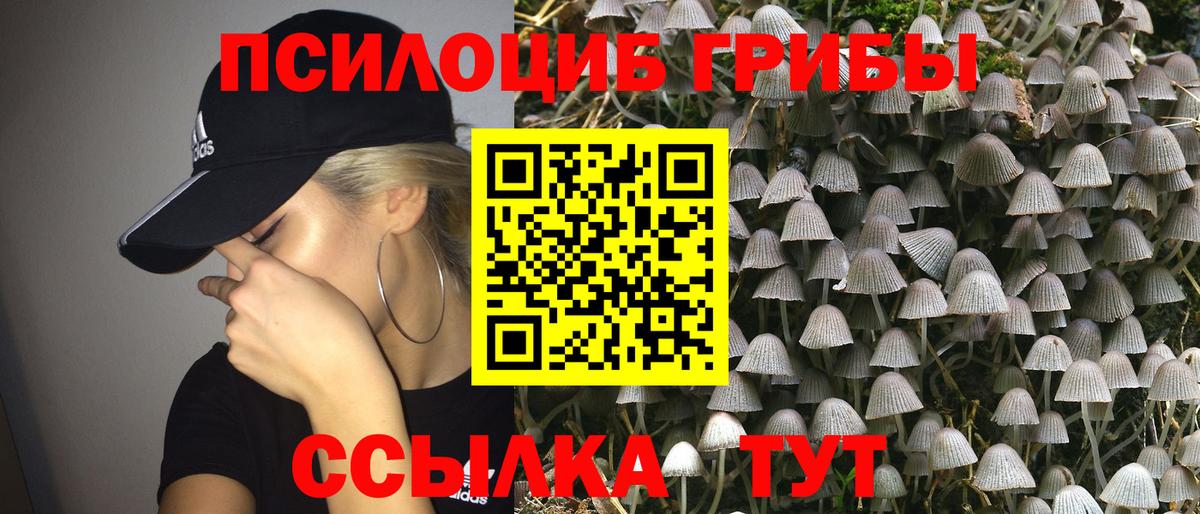 Галлюциногенные грибы MAGIC MUSHROOMS Шали